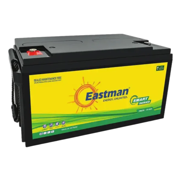Eastman EM100VB 12V 100Ah Valve Regulated Lead Acid VRLA Battery