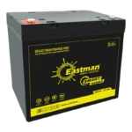 Eastman EM55VB 12V 55Ah Valve Regulated Lead Acid VRLA Battery