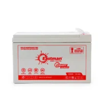 Eastman EM9VB 12V 9Ah Valve Regulated Lead Acid VRLA Battery