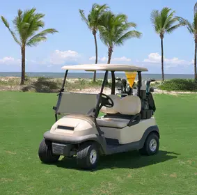 Golf & Recreational Vehicles
